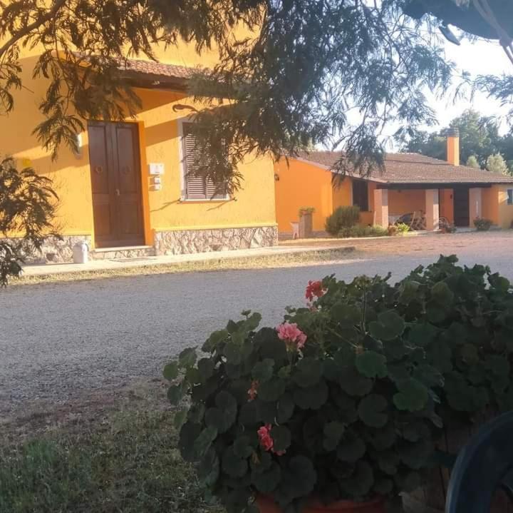 Agriturismo Da Remo ماليانو إن توسكانا المظهر الخارجي الصورة